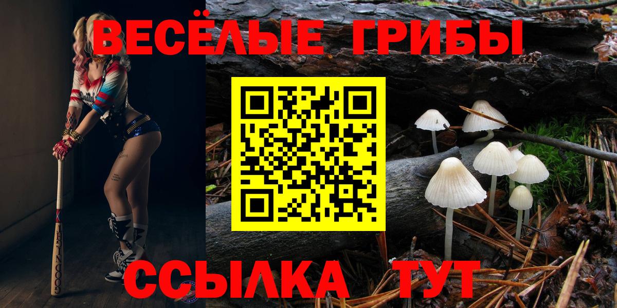 Галлюциногенные грибы Magic Shrooms  Галлюциногенные грибы мухоморы  Вход с VPN  где купить наркоту  Артёмовский 