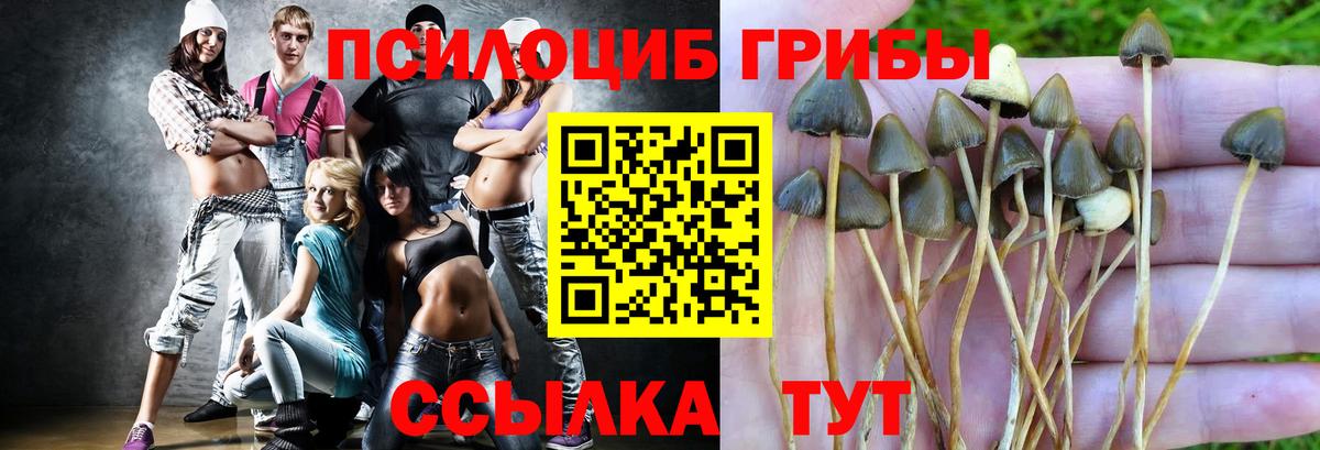 Псилоцибиновые грибы GOLDEN TEACHER Артёмовский